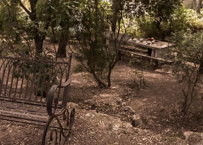 Nel Giardino Dei Pesci Volanti